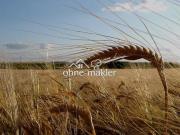 Ackerland • Photovoltaik • Verkauf • Pacht –...