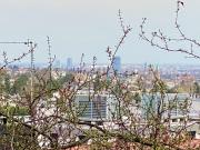 Verlieben sie sich! Traumhafte gartenseitig gelegene...
