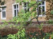 Vermiete meine Wohnung vom 23.9. 25.11.2025