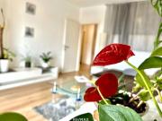 Vermietete 2 Zimmer Wohnung mit Balkon in Graz