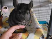 Veronica Has a Condo