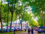 Versailles 78000 Location appartement 4 pièces t4 au...