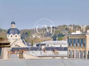 VERSAILLES RIVE DROITE APPARTEMENT DUPPLEX