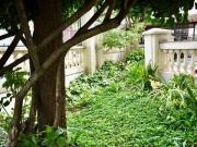 Funcional apartamento tipo para venda em Mirandópolis...