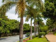 Deslumbrante apartamento tipo para venda em Parque...