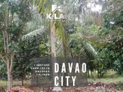 Versatile 1 Hectare Farm Lot in Dacudao, Calinan, Davao City