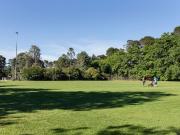 Versatile. Convenient. Groups welcome