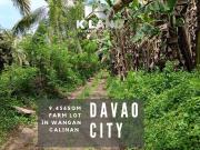 Versatile Farm Lot with Houses and Fruit Trees in...