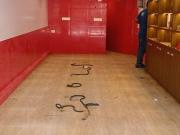 Versova Gayatri Commercial Shop 350 Sq. Ft. in Andheri...