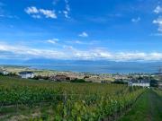 VERTRAULICHER VERKAUF AN DER WAADTLÄNDER KÜSTE