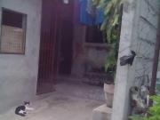 Very affordable awesome house and lot with title a good buy