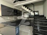Very Prime Located Brand New Portion Available For Rent...