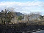 Vespasiano Lote / Terreno à venda na Anuar Donato