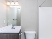 Vesta Camp Creek 1 Bedroom Apartment for Rent at 5100...