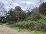 Vetulonia, terreno di 9.090 mq. Leggere bene l'annuncio.