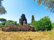 VF17 Terreno panoramico con ruderi