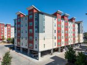 Vi Collina 2 Bedroom Apartment for Rent at 2401 E Oltorf...