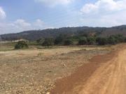 Via a Daule, terreno 20000 m2 uso de suelo alto impacto