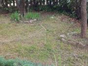 Via Arzelà 18 5 vani 130mq