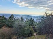 Via Capezzano 33 21 vani 390mq