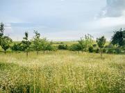 Via Cassia, CASSIA monolocale 28000mq