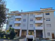 via cecilia metella bilocale 55mq