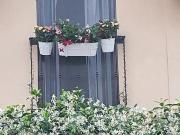 Via Cincinnato, Rome, Lazio 00175