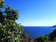 Via Collarina trilocale 75mq