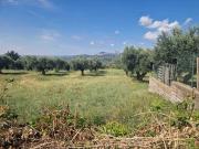 Via Cristoforo Colombo 71 monolocale 25000mq