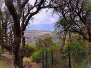 via degli olivi 15 13 vani 256mq