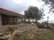 via degli olivi 15 13 vani 256mq