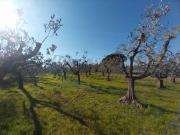 Via dei Fichi 25 bilocale 56mq