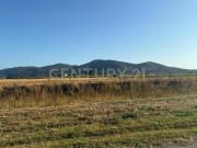 Via dei Ponti Neri 70000mq