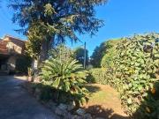 Via del Casale di Santa Maria 250mq