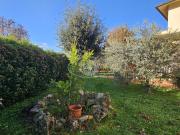 VIA DEL CESTO CESTO 8 vani 243mq