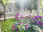 Via dell´Amicizia 49 5 vani 300mq