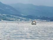 Via della Pieve 16 vani 800mq