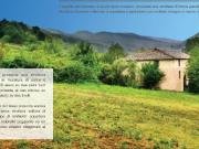 via della pieve 7 vani 500mq