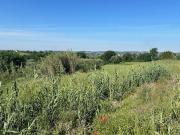 Via della Pozzera 8170mq