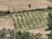 Via Giacomo Leopardi 41 monolocale 106mq