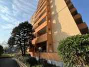 Via Giovanni Cimabue trilocale 95mq