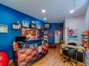 Via Giovanni Pierluigi da Palestrina 6 17 6 vani 100mq