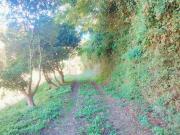 Via Giuseppe Trara Genoino Cla Tolomeo Centro 0mq