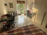 VIA LAURA BASSI VERATTI 1 monolocale 100mq