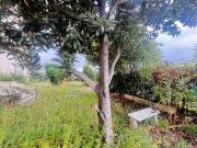 Via Madonnina dei Pagliai 102 14 vani 450mq