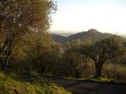 Via Marcianella monolocale 2820mq