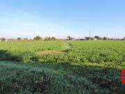 Via Mariana monolocale 45373mq