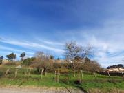 Via Mezza Selva 1500mq