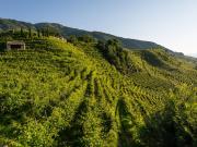 Via Montecchio 102 10 vani 200mq