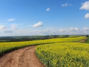 Via Montefiore, 12 vani 460mq